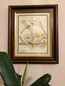 Edith Holden Framed Vintage Botanical Plate - July Country Diary of an Edwardian Lady (28.5x33.5cm)