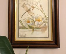 Edith Holden Framed Vintage Botanical Plate - July Country Diary of an Edwardian Lady (28.5x33.5cm)