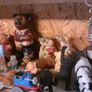 Teddy bear ornament Image 8
