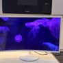 Samsung Monitor Image 2