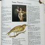 The Country Diary Book of Knitting Image 5