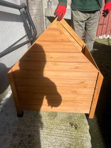 Medium Dog box