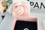 New pandora charm