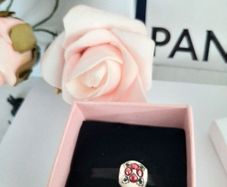 New pandora charm