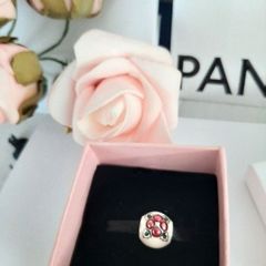 New pandora charm