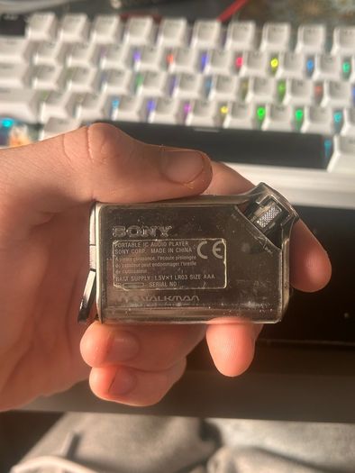 Sony Walkman nw-e99