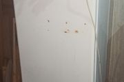 Kegerator