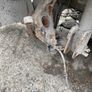 Parts for Renault Traffic 's and Opel Vivaro 2008s Image 7