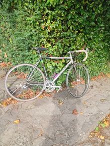 Concorde Colombo frame
