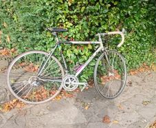 Concorde Colombo frame