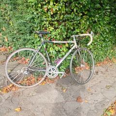 Concorde Colombo frame