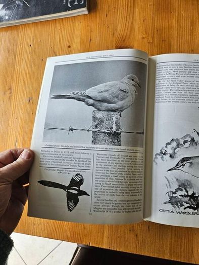 The Irish Wildlife Book. Edited By Fergus O'gorman. Illustrated By Gerrit Van Gelderen, Eamon De Buitlear And Richard Mills. First Edition Large Volume Hardback In Good Condition.