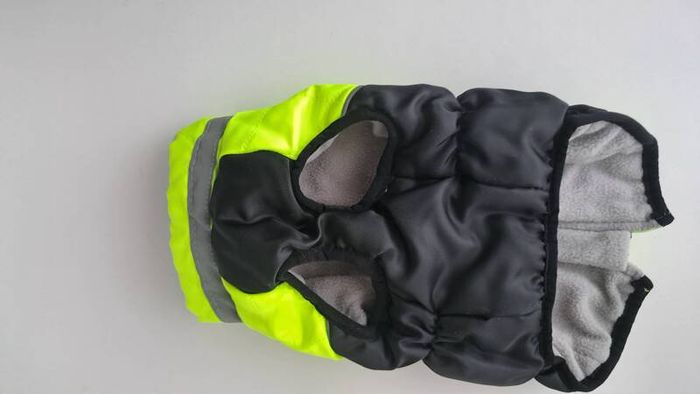 dog jacket