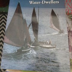 Irish interest