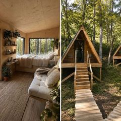 Earn fron your land >Cabin