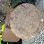Bar stool Image 2