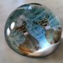 Paperweight Image 2