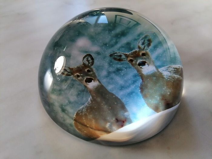 Paperweight