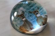 Paperweight