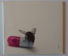 Red Hot Chilli Peppers - I'm With You - CD
