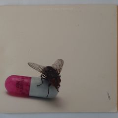 Red Hot Chilli Peppers - I'm With You - CD