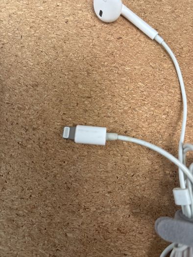 Apple Wired Earphones - Lightning Connector x 2