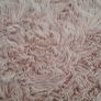 Rug Image 2