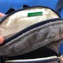 Benetton kids Teddy Backpack Image 3