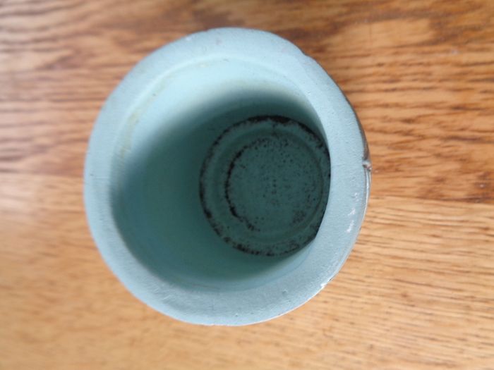 Succulent Flower Pot for Sale