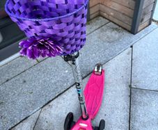 Micro Scooter maxi & basket