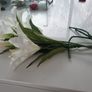 fake lilies flowers - reduced Image 2