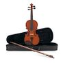 Violin Image 2