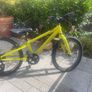 20" Ridgeback Image 3