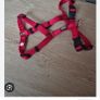 Dog Harness Image 5