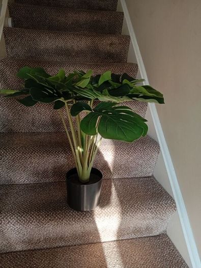 holder and fake plant