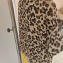 Brand new F&F leopard print blouse size UK16 EU44 Postage included Image 6