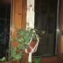 Handmade Macrame Plant Hanger Image 2