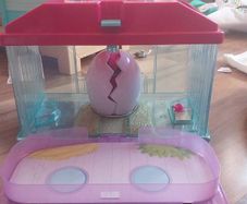 Little Live Pets hatching bird