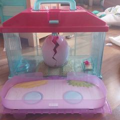 Little Live Pets hatching bird