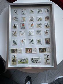 Framed Birds  of Ireland Stamp Collection