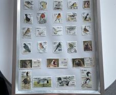 Framed Birds  of Ireland Stamp Collection