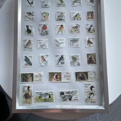 Framed Birds  of Ireland Stamp Collection