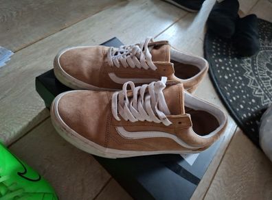 Vans shoes