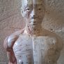Vintage Anatomical Male Image 5