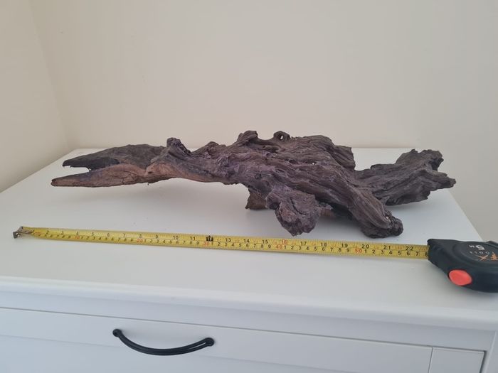 Fish/Reptile tank decor