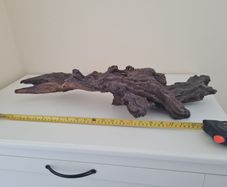 Fish/Reptile tank decor