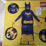 Official DC Batgirl Head-to-toe Custom for 124-135cm Image 5