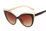 cat look sunglasses