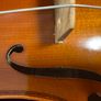 Viola - 14 inch Image 2