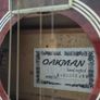 Oakman Acoustic Electric Guitar with EQ Image 3